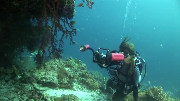 Scuba diver photogtapher — Stockvideo