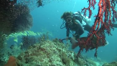 Mercanların yanında yüzen dalgıç