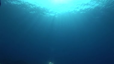 güneş parlar aracılığıyla yüzey