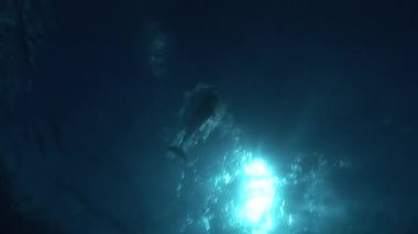 Yunus iniş yüzeyinden