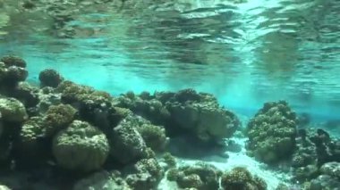 açık okyanusta tırmanış