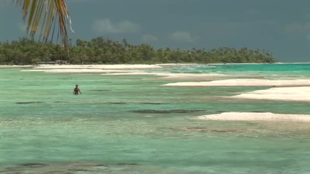 Blauwe water schittert met palmbomen — Stockvideo