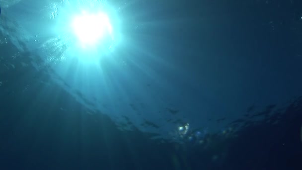 soleil brille à travers la surface 