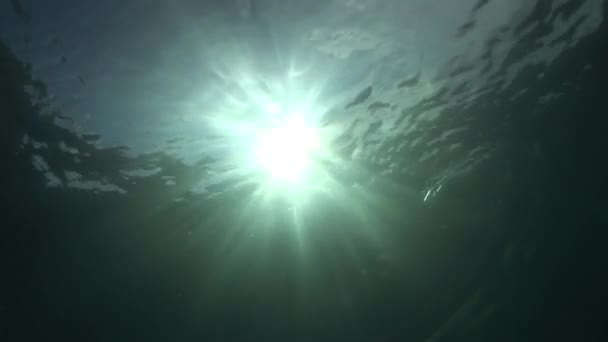 I raggi del sole brillano attraverso l'oceano — Video Stock