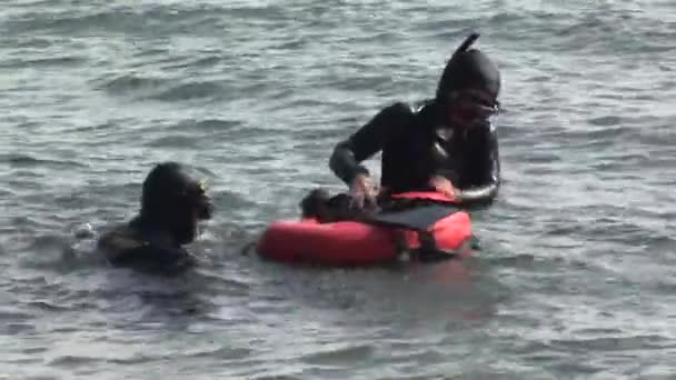 Freedivers sair da água — Vídeo de Stock