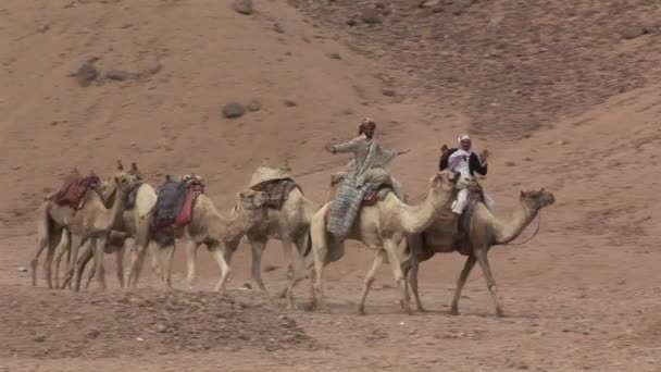 Бедуины, идущие по пустыне — стоковое видео