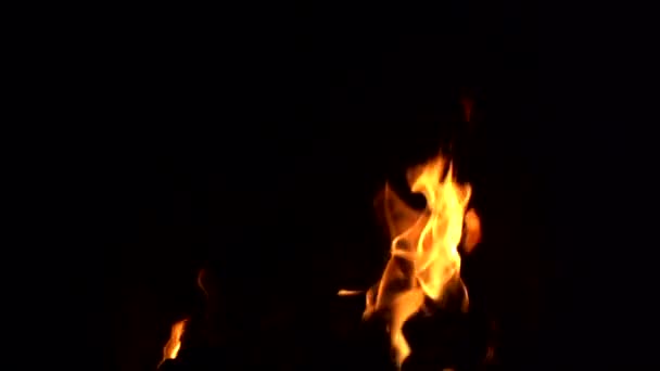 Fire burns in a fireplace, slow motion shot — Stock Video