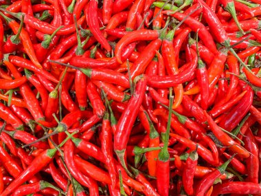 Sıcak kırmızı biber. Çiftlikten taze taze.