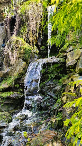 Agua Que Fluye Forma Cascada Sobre Rocas Piedras Rodeadas Vegetación —  Fotos de Stock