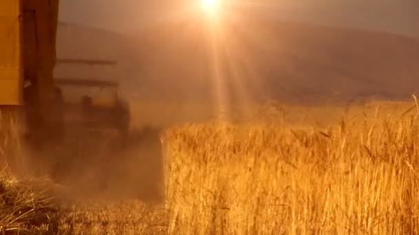 Kombinovat na pole pšenice