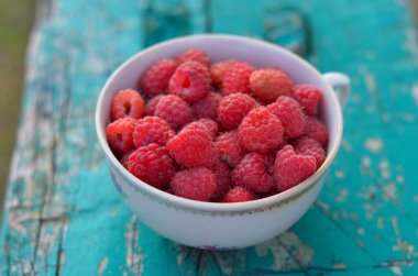 Tahta bir bankta eski fincanda taze toplanmış ahududu.