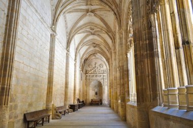 Segovia, İspanya - Haziran 2019: Segovia Katedrali İçişleri