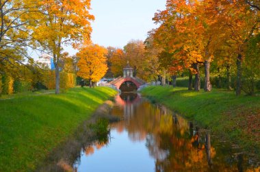 Sarı ve kırmızı yapraklı ağaçlar. Autumn Park 'ta. Puşkin şehri. - Rusya. St. Petersburg.