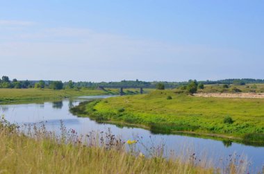 Velikaya Nehri güneşli bir yaz gününde, Pskov bölgesi, Rusya