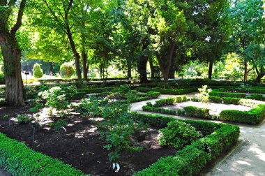 Madrid, İspanya - Haziran 2019: Botanik Bahçesi 