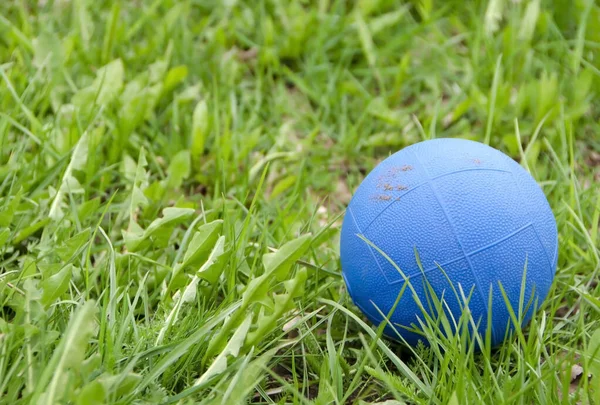 A blue ball lying in the green grass