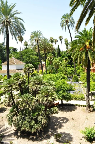 Jardins Sevilha Alcazar Verão Espanha — Fotografia de Stock