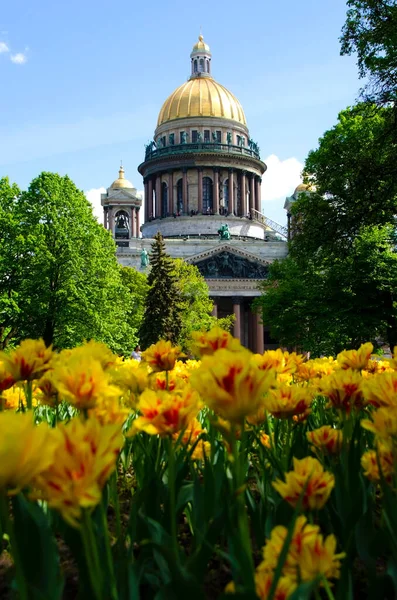 Katedra Izaaka Petersburgu Rosja — Zdjęcie stockowe
