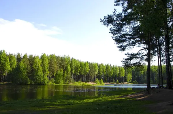 Jezioro Pobliżu Miejscowości Rakhya Obwodzie Leningradzkim — Zdjęcie stockowe