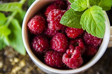 Taze kırmızı ahududu ve nane yaprağı yakın