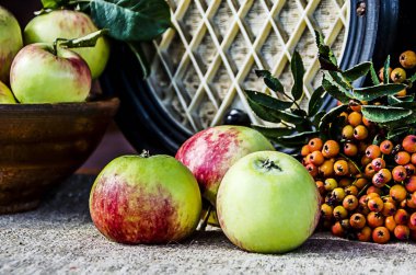 Seramik bir fincanda olgun bahçe elmaları ve ahşap bir masanın üzerinde rowan üzümleri ve arka planda retro radyo.