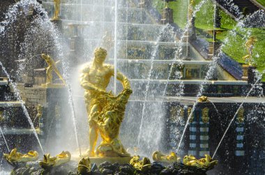 St. Petersburg, Rusya - Ağustos 2021: Samson ve Büyük Şelale 'deki Aslan Çeşmesi