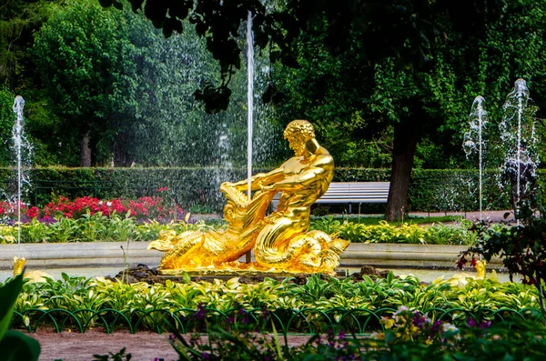 São Petersburgo Rússia Agosto 2021 Fonte Estufa Parque Inferior Peterhof — Fotografia de Stock