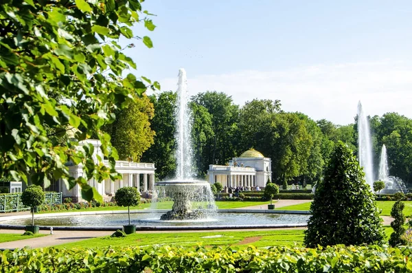 Petersburg Russia Augaugust 2021 View Big Fountains Fountains Bowls Lower — 스톡 사진