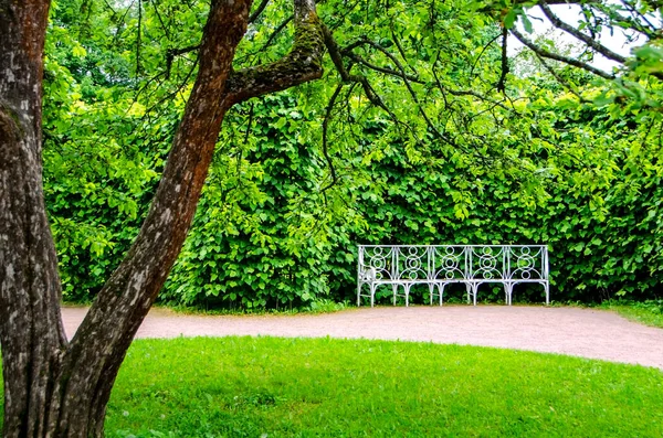 Parques Campismo Pushkin Tsarskoe Selo Saint Petersburg Rússia — Fotografia de Stock