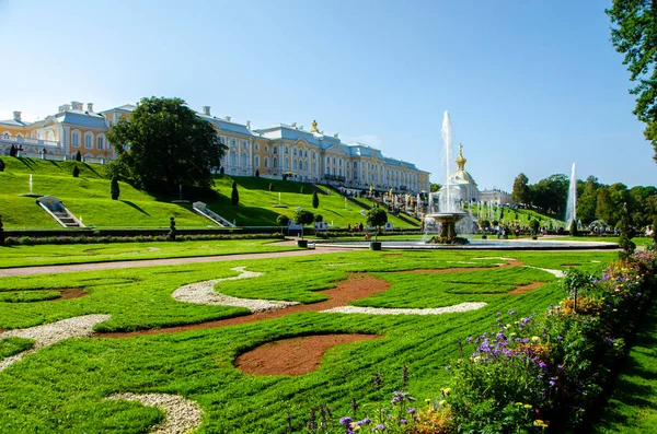 Petersburg Rusija Sierpień 2021 Widok Wielkie Fontanny Fontanny Miski Dolnym — Zdjęcie stockowe