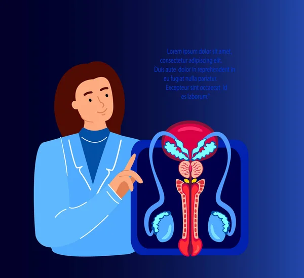 Andrologist Urologist Scientists Doctors Examine Male Reproductive Urogenital System Organ — Zdjęcie stockowe