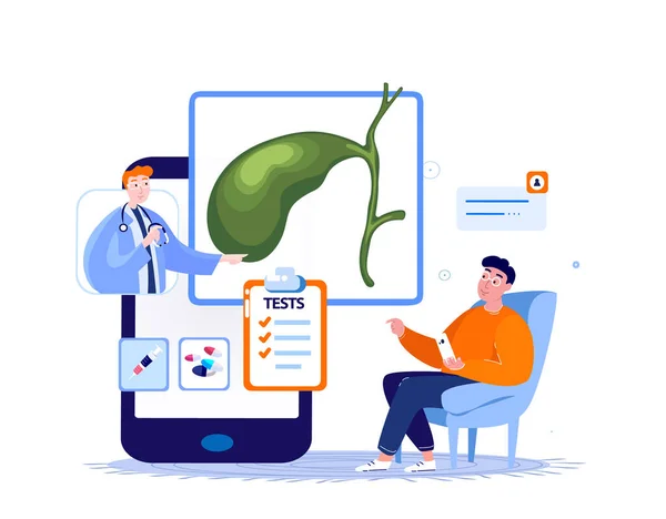 Online Doctor Gastroenterologist Consultate Patient in Laptop. Gall Bladder System Internet Diagnosing.Gall Cholalic Organ Cholecystitis Treatment.Digital Medical Hospital.Isolated Vector illustration