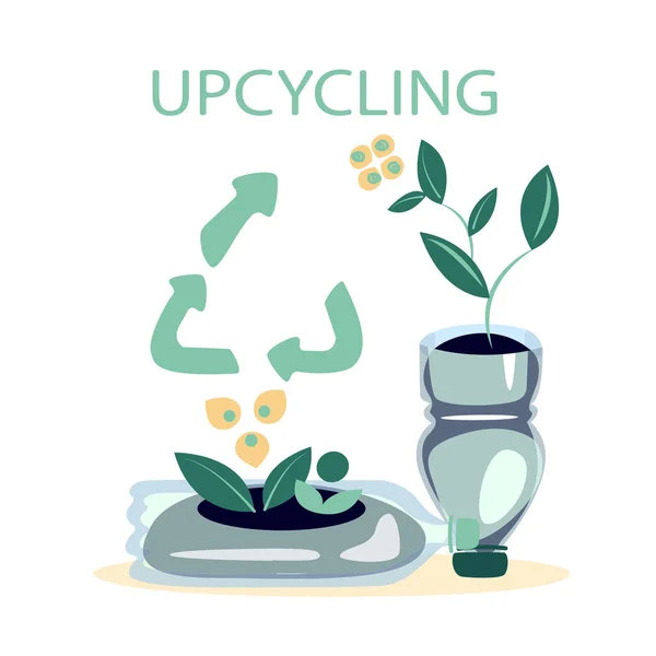 Upcycling Plastic Bottles Cutting Utilized Jar Plant Seedling Flowers Potting — Stock Photo, Image
