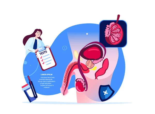 Andrologist Urologist Scientist Doctor Examine Male Reproductive Urogenital System Organ — Stok fotoğraf