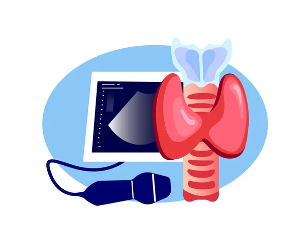 Endocrinology Ultrasound Diagnostics Screening Sonographer Examination,Ultrasound Investigation.Thyroid Pathology,Anomalous Gland,Pineal Organ.Medical Hospital Diagnostic Treatment.Vector Illustration