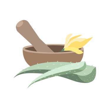 Havan ve Pestle otları karıştırmak için ayarlandı, Aloe Vera, Champaka Çiçek Esansı. Kasede taze bitkiler öğütülüyor. Doğal içerikli organik losyonu hazırlayın. Beyaz arka planda izole edilmiş vektör ilüstrasyonu