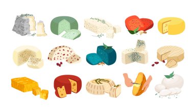 Çeşitli peynir çeşitleri gerçekçi vektör çizimi. Kır peyniri koleksiyonu beyaz arka planda izole edildi. Tasarım, tarif kitabı, reklam veya restoran menüsü için Curd şarküteri gıda ürünü