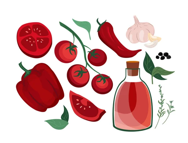番茄酱 罗勒叶 切碎的西红柿 樱桃枝 广告或餐馆菜单用的矢量图 — 图库照片