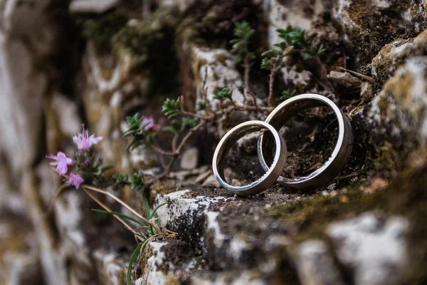 Wedding rings — Stock Photo, Image