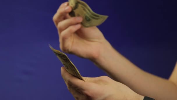 Buisnessman compte un argent, billets en dollars américains — Video