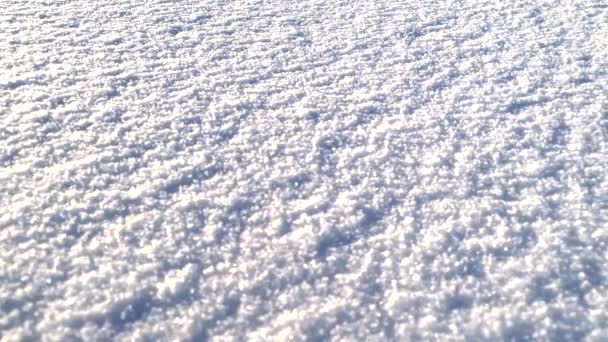 Крупним планом знімок сніжинок на землі. Тло — стокове відео