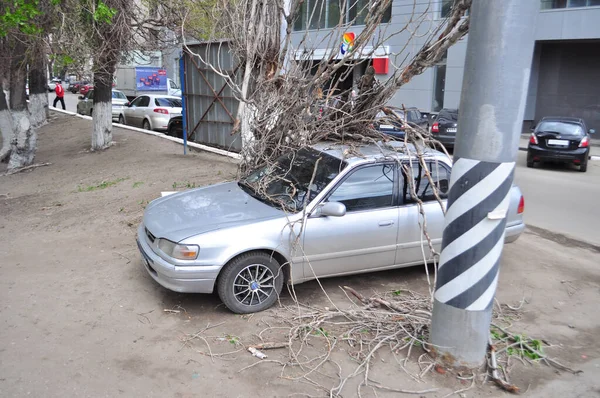 Fırtına sırasında bir ağaç arabanın üzerine düştü.
