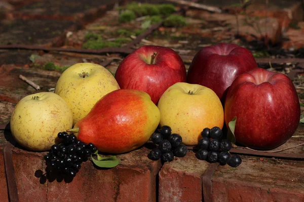 Olgun armutlar, kırmızı ve yeşil elmalar. Armut çeşitliliğinde Talgar güzeli. Kırmızı elma Kırgız kış türüdür, sarı elma ise Zarya Alatau türüdür..