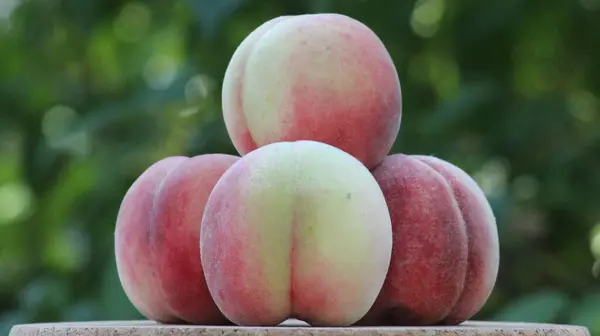 Şeftali meyveleri bulanık yeşil arka planda bir mantar yüzeyinde yatar.