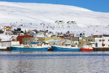 Btsfjord, Norveç - 24 Mart 2016: Btsfjord Harbor, Norveç. Renkli gemi limanda palamarla. Onların arkasında köyün kar ile kaplı.