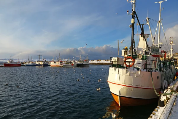 März 2016 Fischereifahrzeuge Hafen Von Vardo Norwegen — Stockfoto