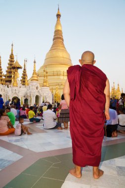 Yangon, Myanmar - 19 Nisan 2016: Yangon, Myanmar Pagoda Shwedagon. Avlu çevresindeki Pagoda Shwedagon. Pagoda adlı arıyorsunuz bir Budist rahip arkasında. Birçok faithfuls doğru stupa dua oturmak.