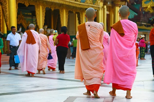 Monjas budistas en el templo —  Fotos de Stock