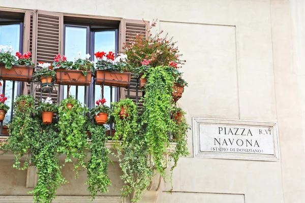 Balcon Avec Pots Fleurs Piazza Navona Rome — Photo