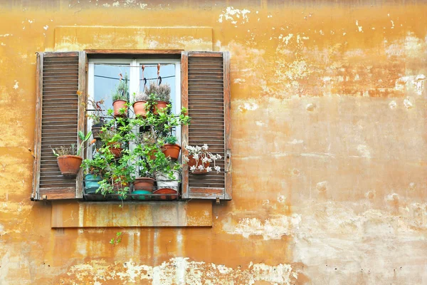 Janela romana & vasos de flores — Fotografia de Stock